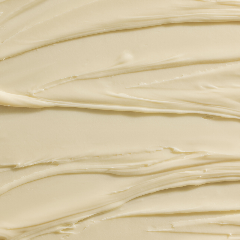 CREME LEITE EM PÓ 300g